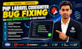 fix PHP laravel codeigniter bugs, errors and issues in your website
