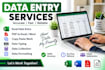 do accurate data entry, excel data entry,copy paste and PDF to excel