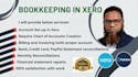 do setup, cleanup, bookkeeping in xero and quickbooks