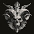 detailed antique engraving and classic etched illustrations