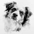paint adorable watercolor pet portrait