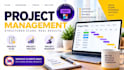 create a professional project plan, tracker and roadmap as a certified pmp