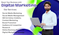 provide expert digital marketing services