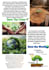 do photo editing, video editing and graphic