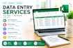do data entry, excel data entry and convert PDF to excel