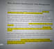 write professional essays and assignments in english