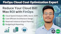 help you with finops implementation, cloud cost optimization and management