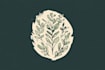 design botanical hand drawn logo