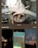 design or edit instagram and facebook posts and stories