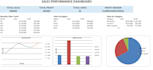 create a professional excel dashboard, mis report