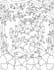 create a coloring book for you