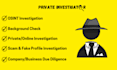 provide professional osint and online background research