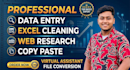 do data entry, excel cleaning, and copy paste work