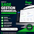 manage your commercial data using sage gestion commerciale