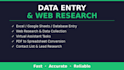 do data entry, web research and virtual assistant tasks