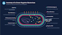 design clean academic and scientific powerpoint presentations