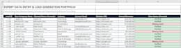 do expert data entry, excel data cleaning