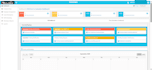 develop an HR management system that track punctuality