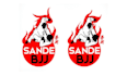 design brazillian jiu jitsu academy club logo