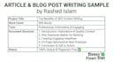 write professional articles and blog posts