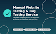 manual website testing bug testing and cross browser testing
