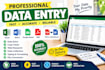 do accurate data entry, web research, copy paste, excel and PDF conversio