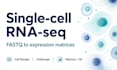 process single cell rna seq fastq into gene expression matrices