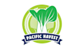 make harvest oriental logo for vegetable packaging company