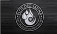 design florida based floating sauna business logo