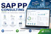 provide sap pp consulting, configuration and troubleshooting