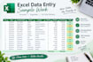 accurate data entry and excel task