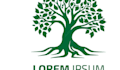 design beautiful bonsai tree logo
