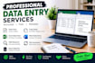 enter data into excel