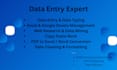 do professional data entry web research and excel copy paste work