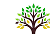 create a beautiful and professional tree logo design