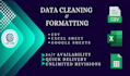 clean csv, excel, and google sheet data