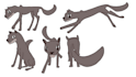 create amazing animation of your nfts custom