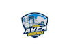 design a professional and creative volleyball logo