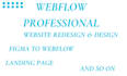 be your webflow developer and build a responsive webflow website