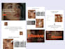 create luxury wix website,redesign,wix website and premium website development