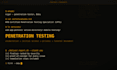 perform web application penetration testing and security audit