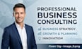 provide professional business consulting