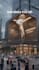 3d anamorphic billboard 3d watch animation 3d cgi animation 3d product animation
