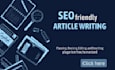 write seo friendly article for you