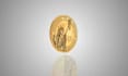 design high quality 3d coin, token, medals and custom emblems