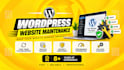 maintain, update and secure your wordpress website