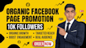 do facebook page growth and promotion