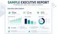 analyze your excel data and create an executive report