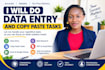 provide accurate data entry and excel services