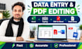 do data entry typing pfd editing and excell work